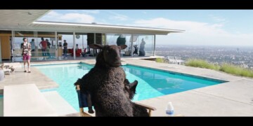 Tele 2 - Frank by Frank - Directors Tomas Skoging and TB Martin - Acne Production Tele 2 - Frank by Frank - Directors Tomas Skoging and TB Martin - Acne Production